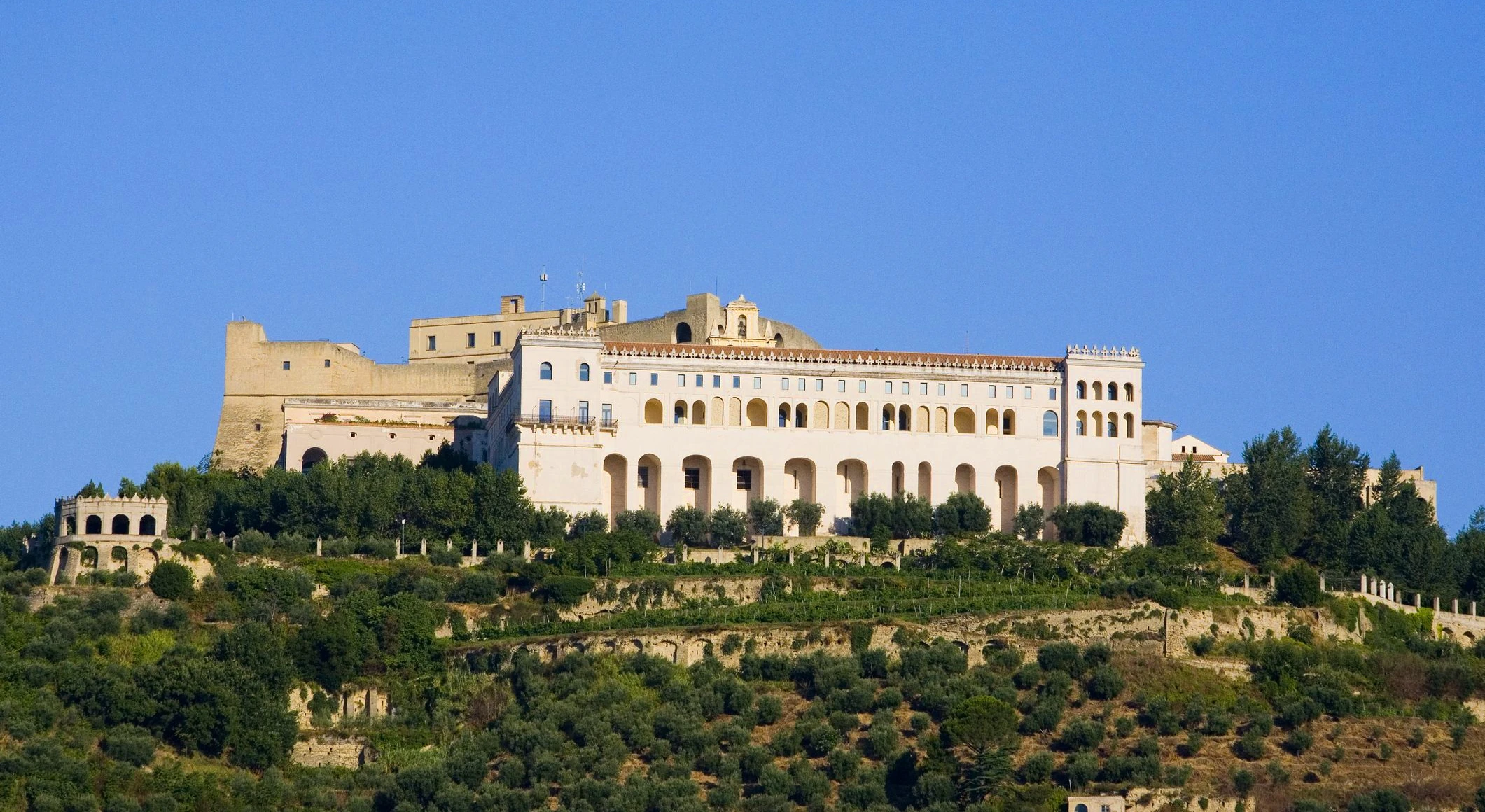 Certosa e Museo di San Martino