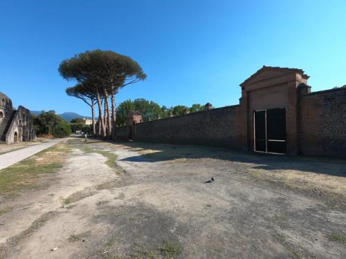 Pompei Palestra grande