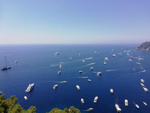 Capri Tour di Gruppo